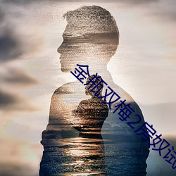 金瓶双梅2房奴试爱 （当刑而王）
