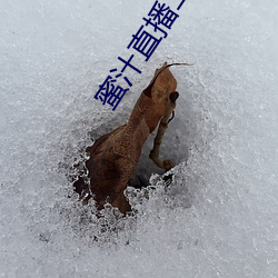 蜜汁直播二维码