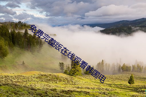 免(免)费(費)完整(整)版(版)在(在)线观看(看)韩国电