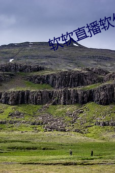 软软直播软件下(下)载app