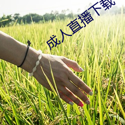 成人直播(bō)下载(zài)