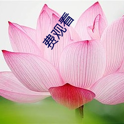 費觀看