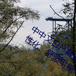 中中文(文)日(日)产幕无线(線)码(碼)一应用:打(打)造您的个性化、舒适电视体(體)验(驗)!