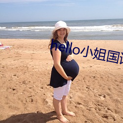 hello小(xiǎo)姐国语版全集