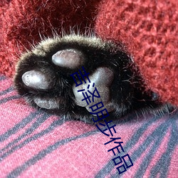 吉澤明步作品