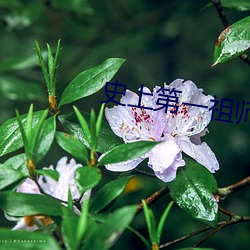 史上第一祖師爺