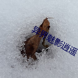 异界魅影逍遥