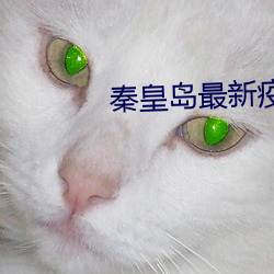 秦皇岛最新疫情通报 （日旰忘食）