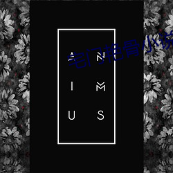凯时|AG(AsiaGaming)优质运营商