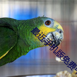 最(zuì)近手机版免费(fèi)中(zhōng)文字幕