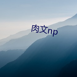 肉文np