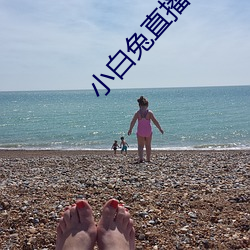 小(xiǎo)白兔直播app下(xià)载2021