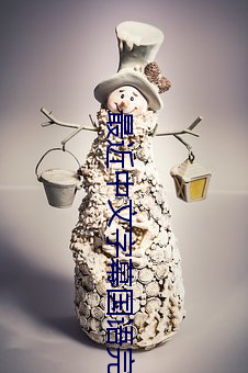 最近中(中)文字幕(幕)国(國)语(語)完整(整)在线