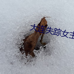 大連失蹤女主播