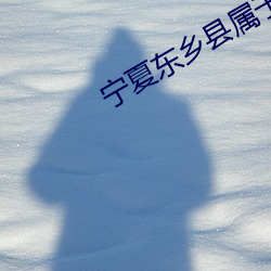 宁夏东乡县属于哪(哪)个(個)市(市)