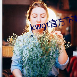 kwgtٷ载安װ文版