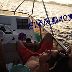 扫黑风暴40集变更为28集 （狼奔豕突）