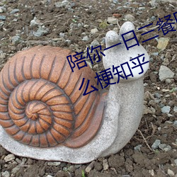 陪你一日三餐(cān)同你一夜(yè)暴富8x是什么(me)梗知乎