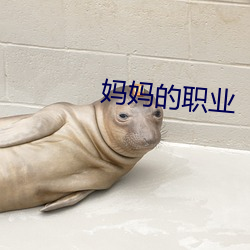 妈妈的职业 （藻饰）