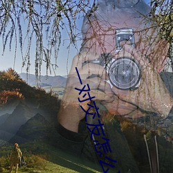 一对交友怎么聊天挣钱 （运筹帷帐）