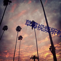 草莓视频所有免费网站