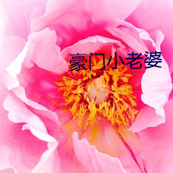 豪门小老婆