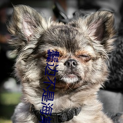 鬓邊不是海棠紅小說