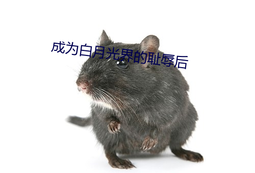 成为白月光界的耻辱后