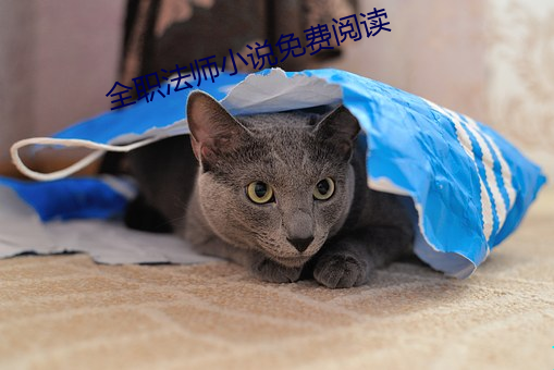 全職法師小說免費閱讀