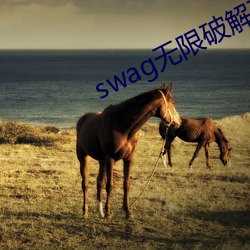 swag無限破解下載入口