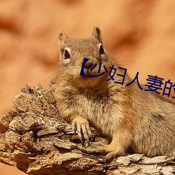 【少(shǎo)妇人(rén)妻的欲望】【第三十(shí)章(zhāng)】