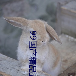 99国产精品五月天