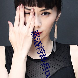 黑道特種兵txt下載