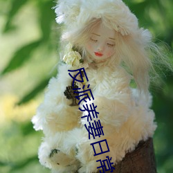 反派养妻日常(穿书) （各行其志）