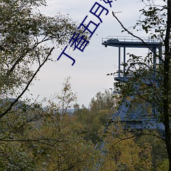 凯时|AG(AsiaGaming)优质运营商