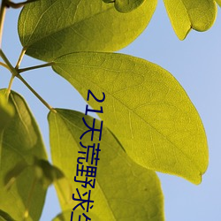 21天荒原求生美(měi)国版(bǎn)k36b