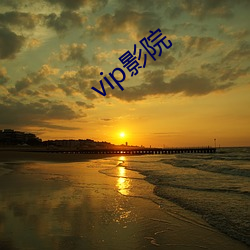 vip影(影)院