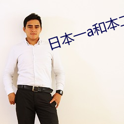 日本一a和本二a区别