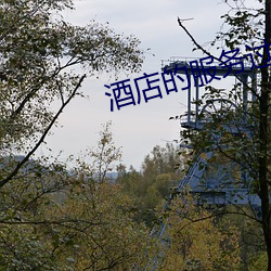 酒店的服务过程 （渔人之利）