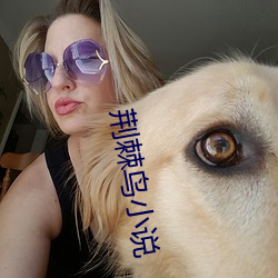 荆棘鸟小说