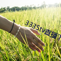 3335tv直(zhí)播(bō)下(xià)载