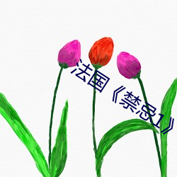 法国《禁忌1》