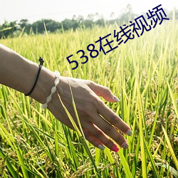 538在线视频 （折戟沉沙）