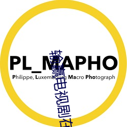 输赢电视剧在线观(觀)看