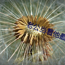 老公当着他最好的兄弟让我