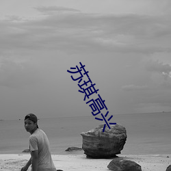苏琪高(高)兴