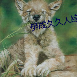 伊成久久人综合网 （知足不殆）