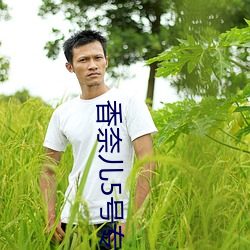 香奈(nài)儿5号(hào)专柜价