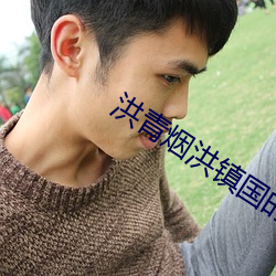 洪青烟洪镇国的小说