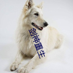 剑神重生